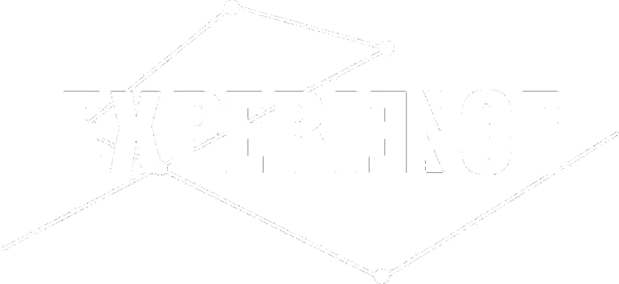 Experience